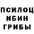 Галлюциногенные грибы Magic Shrooms graviti_tv Dshegok