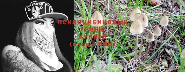 марки lsd Белокуриха