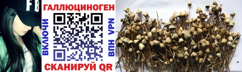 Псилоцибиновые грибы прущие грибы  мориарти клад  Братск 